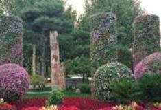 潍坊植物园怎么玩？附游玩路线