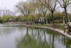 上海月浦公园怎么玩？附游玩路线