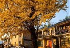 杭州杨家村怎么玩？附游玩路线