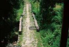 温州船放岭古道怎么玩？附游玩路线