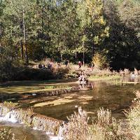 拉市海湿地公园19306