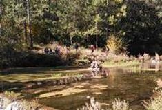 拉市海湿地公园：圣泉源