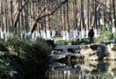 嘉兴人民公园怎么玩？附游玩路线