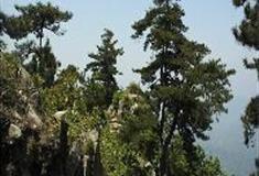 白马尖：银竹峰