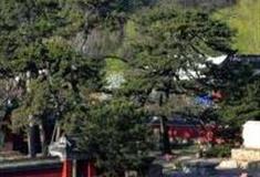 承德殊像寺怎么玩？附游玩路线