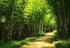 广州晓港公园怎么玩？附游玩路线