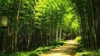 广州晓港公园怎么玩？附游玩路线