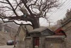 北京三家店怎么玩？附游玩路线