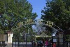 广州杨桃公园怎么玩？附游玩路线