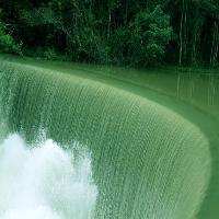 上海共青国家森林公园17712