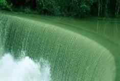 上海共青国家森林公园：松涛瀑布