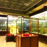 广州南粤苑10141