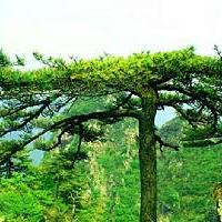 万佛山风景区17559