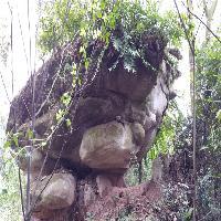 中泰天心佛文化旅游区19788