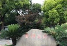 上海金沙绿地怎么玩？附游玩路线