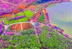 广州志惠农场怎么玩？附游玩路线