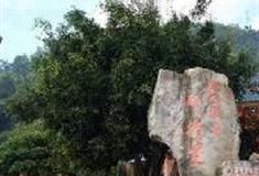 丽江观音峡景区：茶马驿站