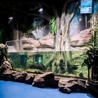 江苏张家港梦幻海洋王国19668