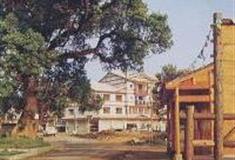 鹰潭上清古镇怎么玩？附游玩路线