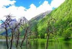 阿坝枯树滩怎么玩？附游玩路线