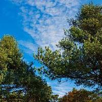 广东第一峰旅游风景区18385