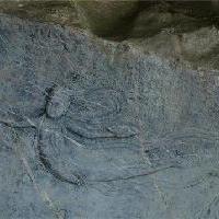 杭州西湖风景名胜区18585