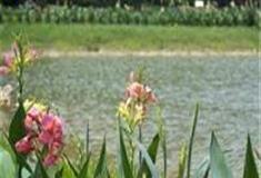 中国科学院华南植物园：豆蔻台