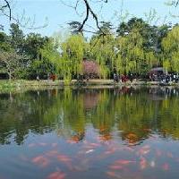杭州西湖风景名胜区花港观鱼 杭州西湖风景名胜区花港观鱼