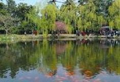 杭州西湖风景名胜区：花港观鱼