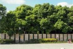 上海罗泾公园怎么玩？附游玩路线