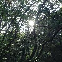 拉市海湿地公园一米阳光