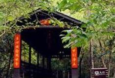 宜春三爪仑观音岩景区怎么玩？附游玩路线