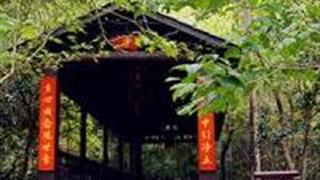 宜春三爪仑观音岩景区怎么玩？附游玩路线