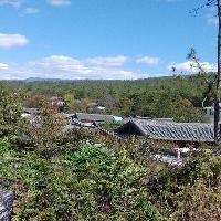 拉市海湿地公园19320