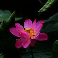 广州笑翻天乐园17615