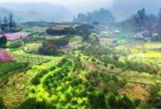 桂林思江银杏瀑布生态乡村旅游景区怎么玩？附游玩路线