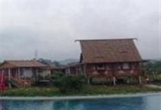 杭州艾利斯玫瑰园怎么玩？附游玩路线