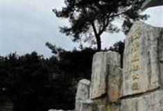 重庆九锅箐森林公园怎么玩？附游玩路线