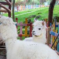 天府花溪谷17198