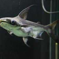 江苏张家港梦幻海洋王国19670