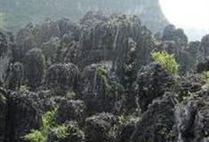 南宁金钗石林城堡·大石林怎么玩？附游玩路线