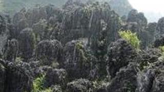 南宁金钗石林城堡·大石林怎么玩？附游玩路线