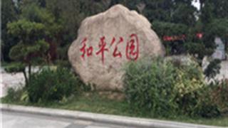 武汉市和平公园怎么玩？附游玩路线