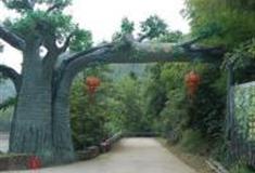 金华武义千丈岩怎么玩？附游玩路线