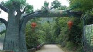 金华武义千丈岩怎么玩?附游玩路线 金华武义千丈岩怎么玩?附游玩路线