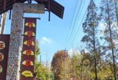 成都金羊村怎么玩？附游玩路线