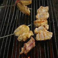 上海共青国家森林公园17716