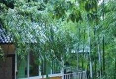 广州耕山小寨怎么玩？附游玩路线