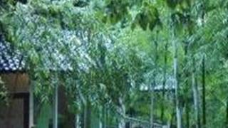 广州耕山小寨怎么玩？附游玩路线