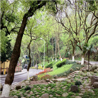 温州景山公园介绍及游玩景点推荐 温州景山公园介绍及游玩景点推荐